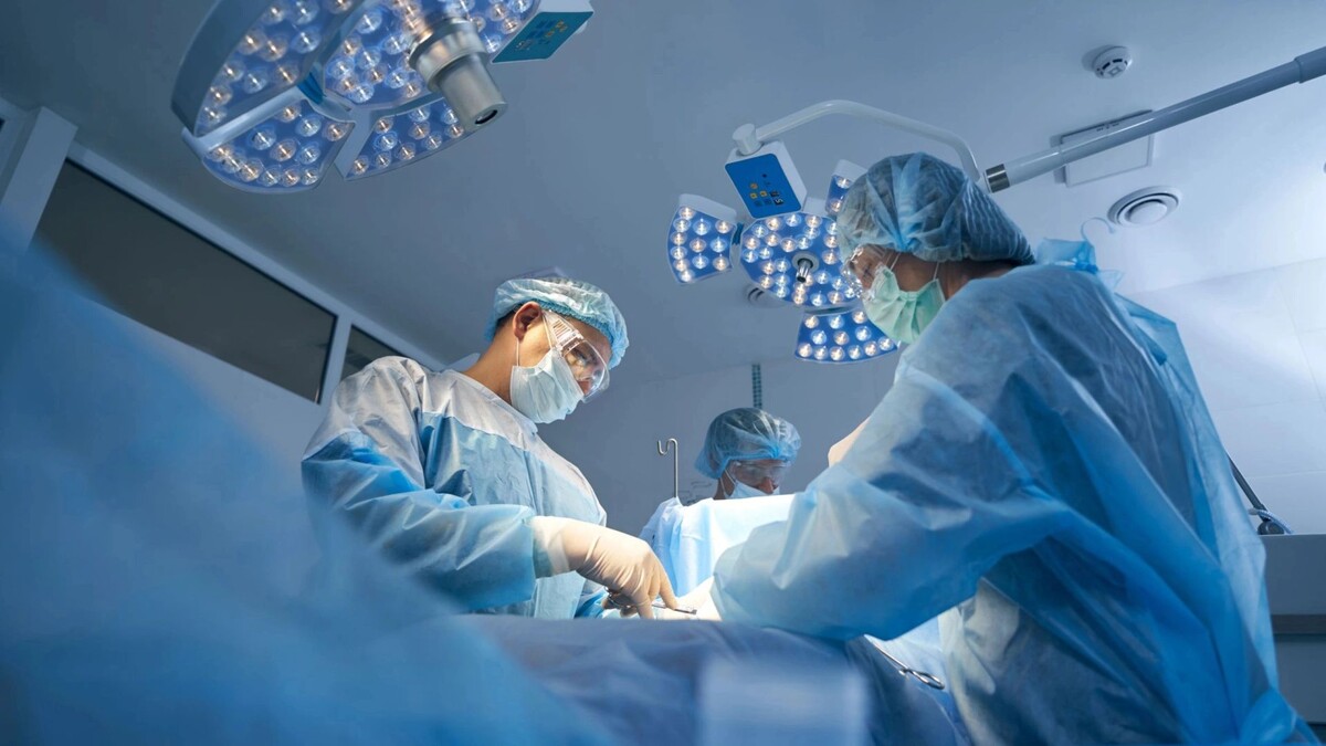    Фото: Svitlana Hulko/Shutterstock/Fotodom