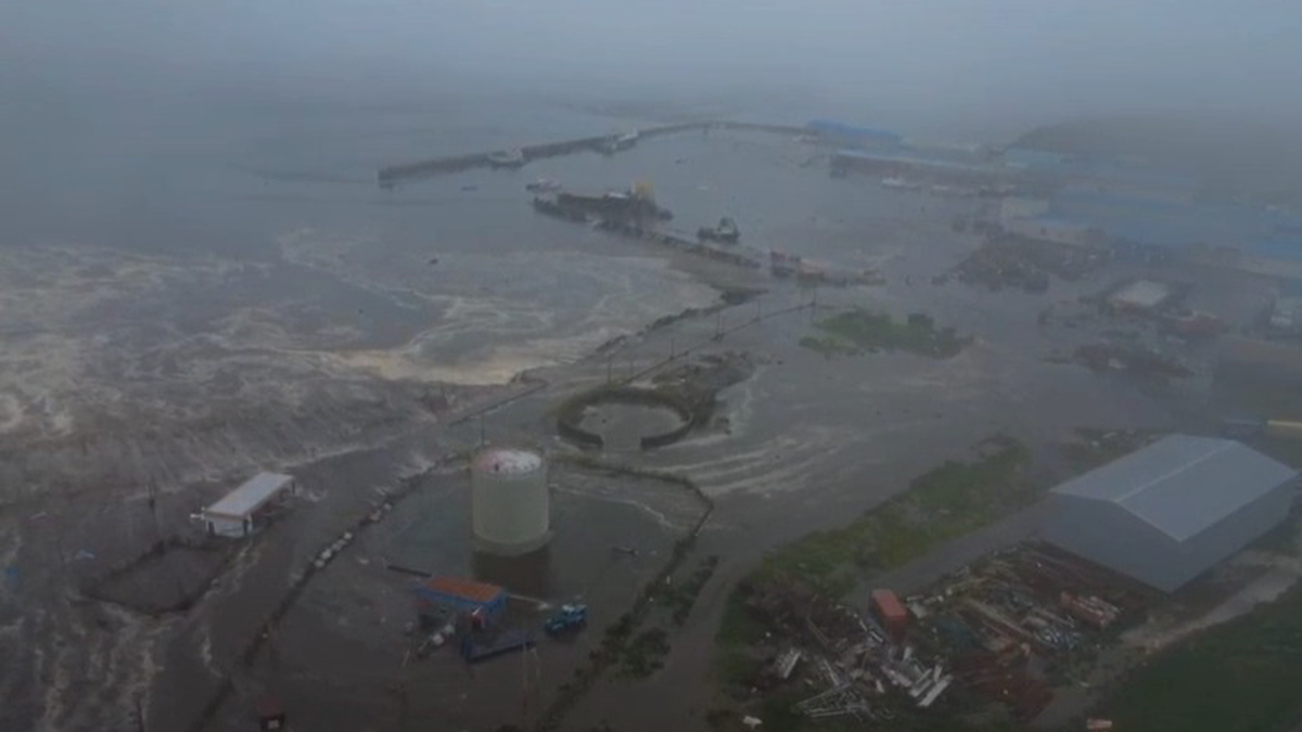    Фото: Скриншот с видео / Камчатский филиал ФИЦ ЕГС РАН / Telegram