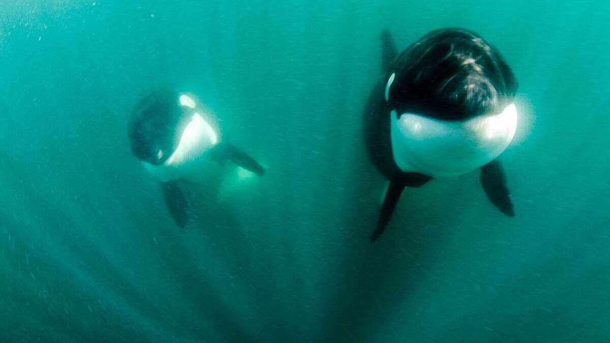    Фото: Shutterstock