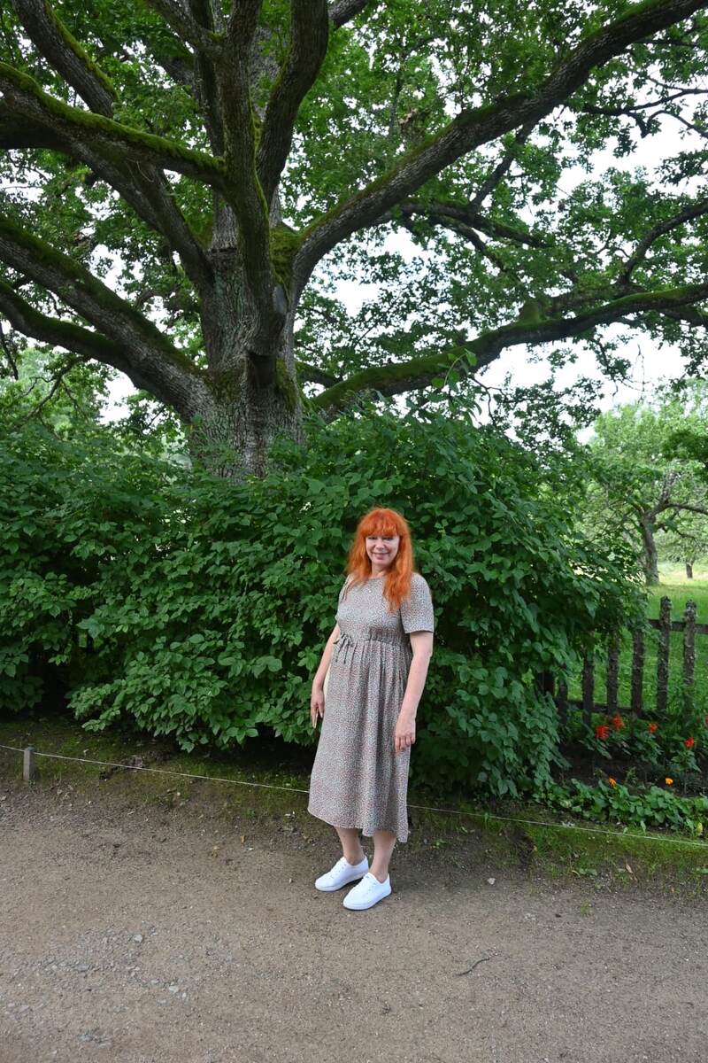 Фото авторов канала. В Пушкиногорье. Дуб черешчатый в Михайловском. 