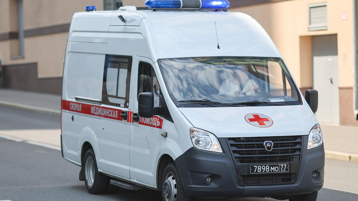    Фото: Belkin Alexey/news.ru