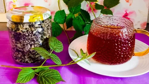 Как  приготовить быстро и просто ферментированный чай из листьев Малины своими руками