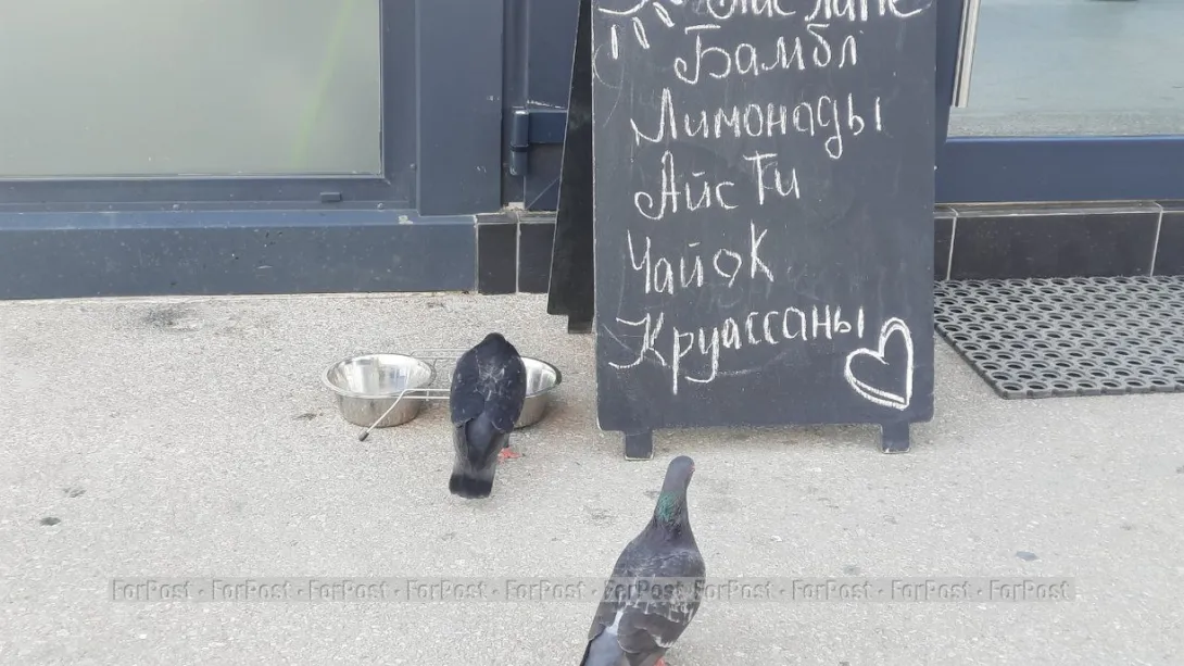 Фото:
Татьяна Воробьёва / ForPost