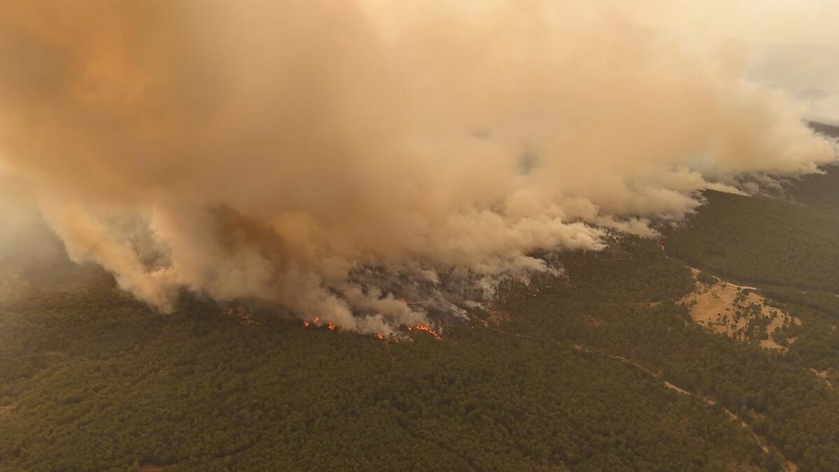 Пожар в Бурсе. Источник фото: https://trthaberstatic.cdn.wp.trt.com.tr/resimler/2384000/2384687.jpg.