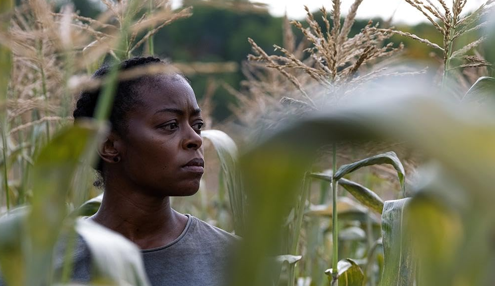 Кадр из фильма