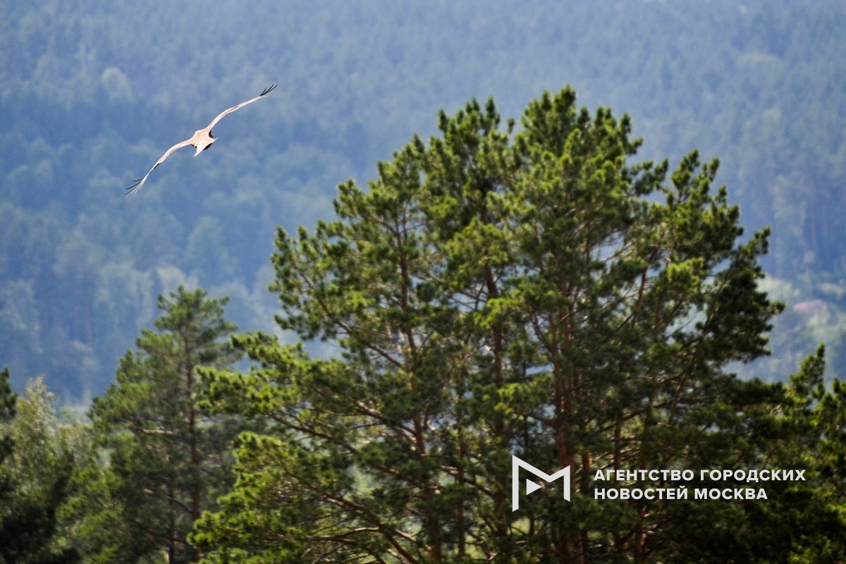 Фотограф: Игорь Иванко