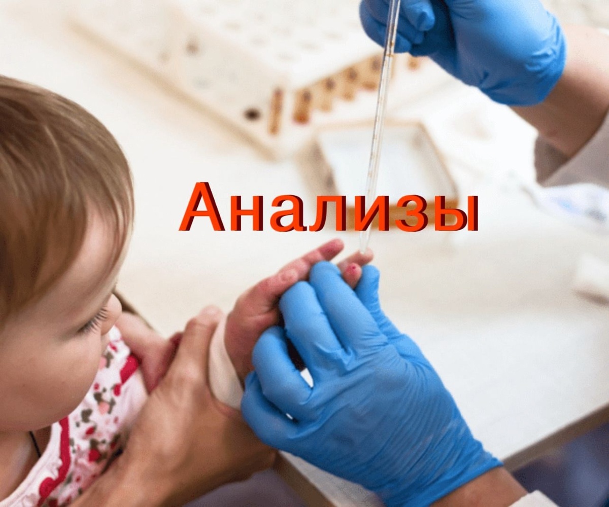 анализы