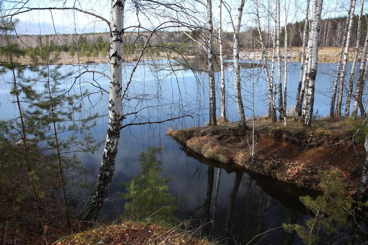    Шабровский пруд stalker