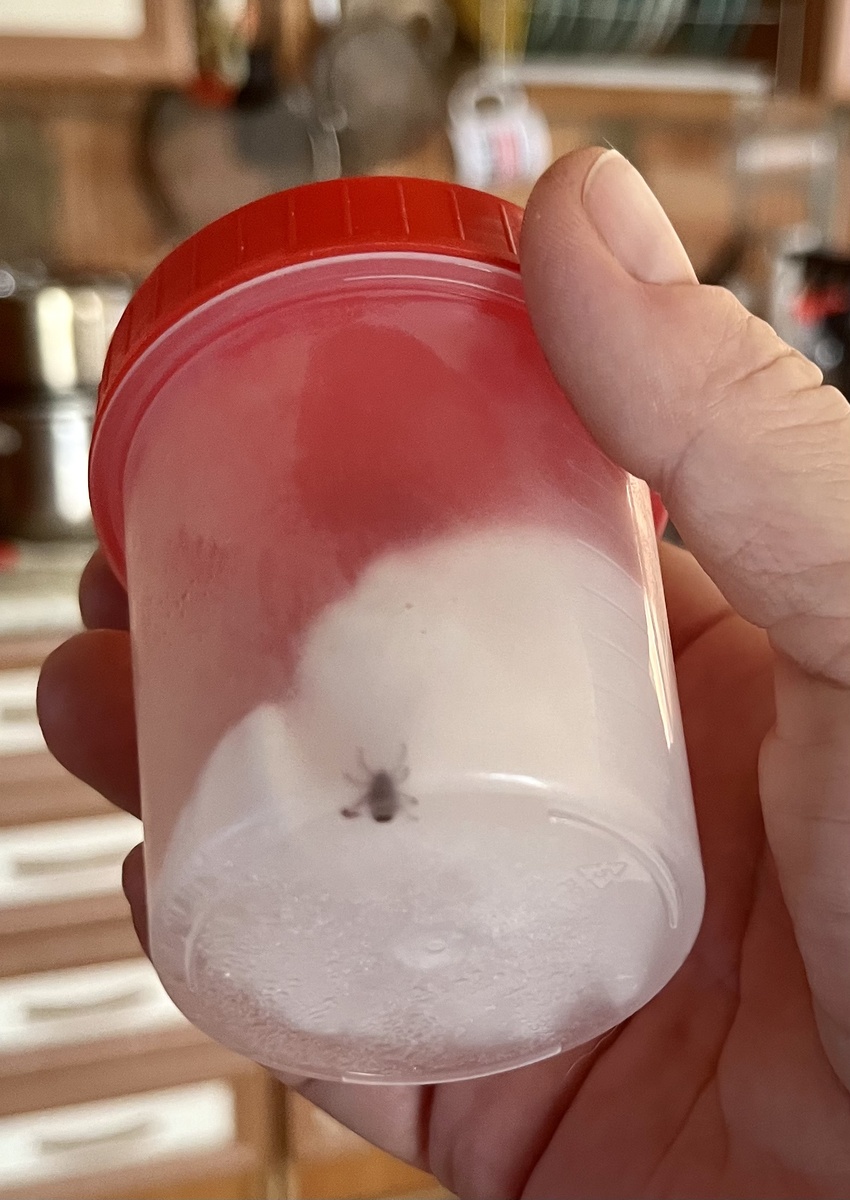 Узник баночки и возмутитель спокойствия