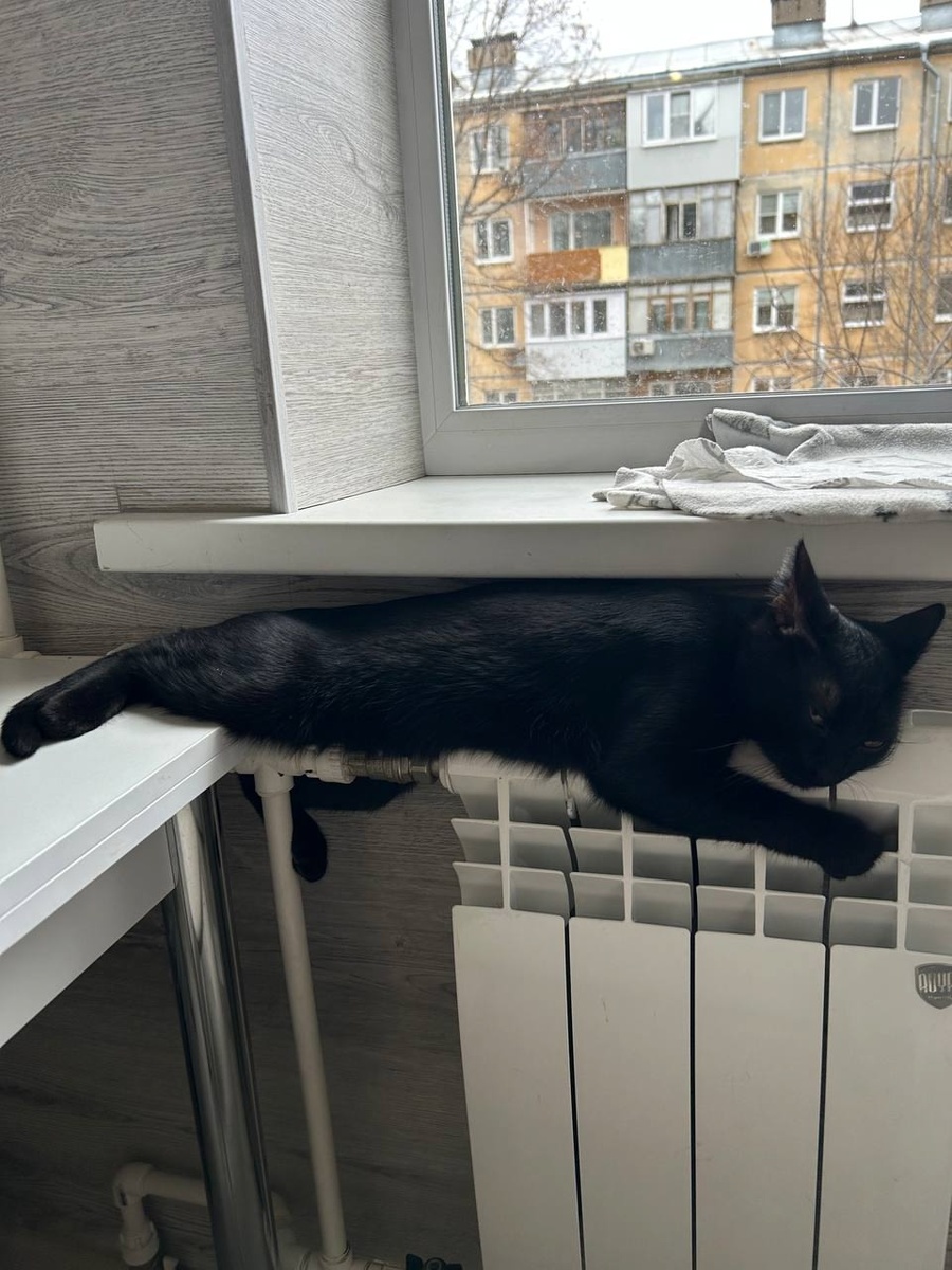    архив samaraonline24