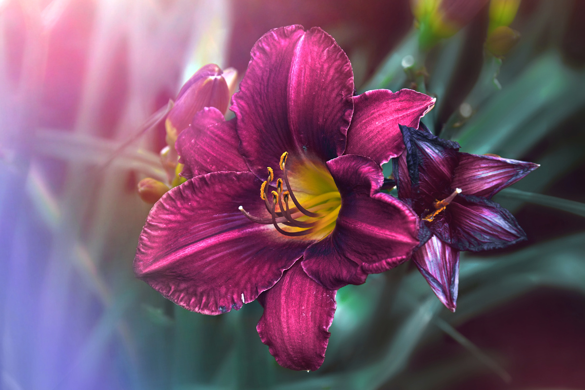 Копирование фотографий запрещено. Контент является интеллектуальной собственностью. Защищён авторским правом.