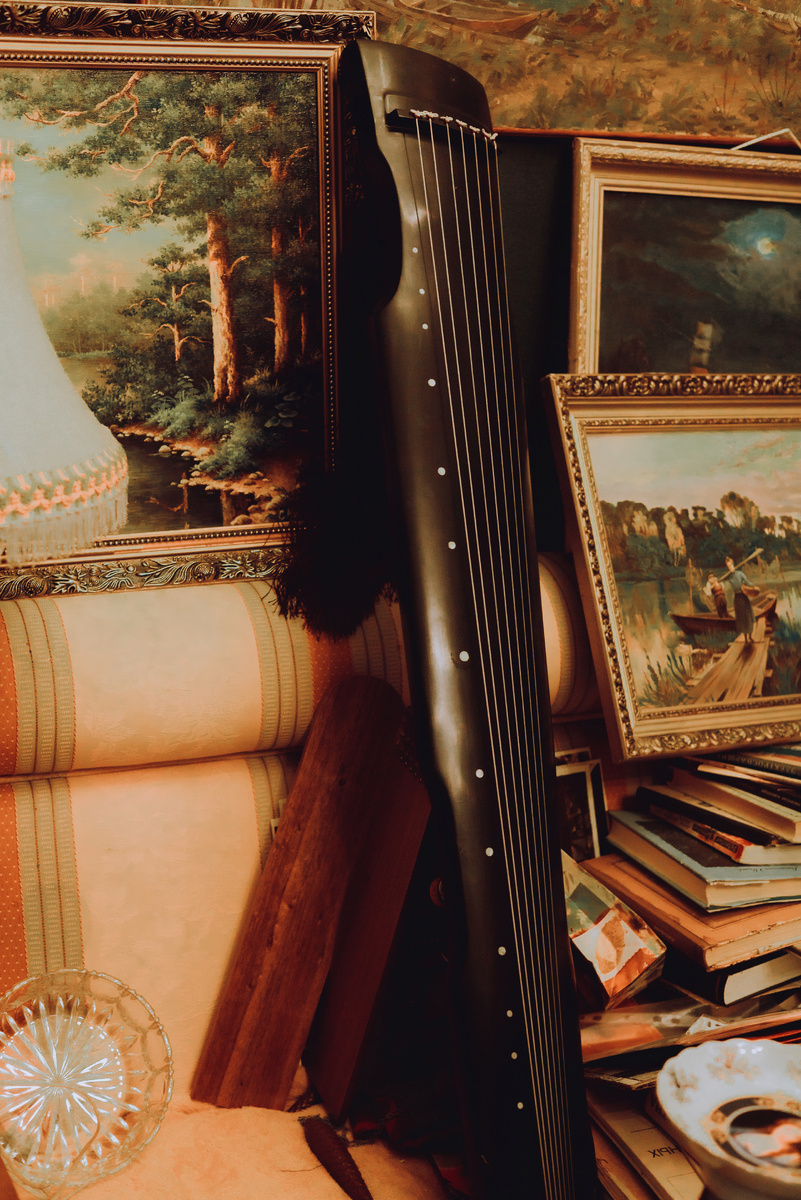 Гуцинь в нашем магазине