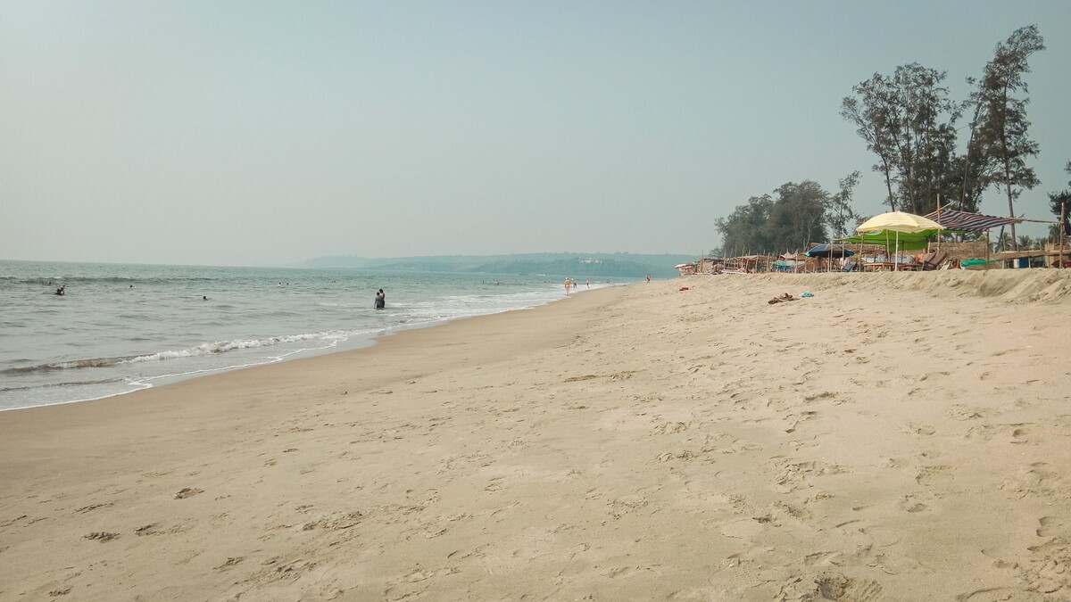     Источник: 1MI