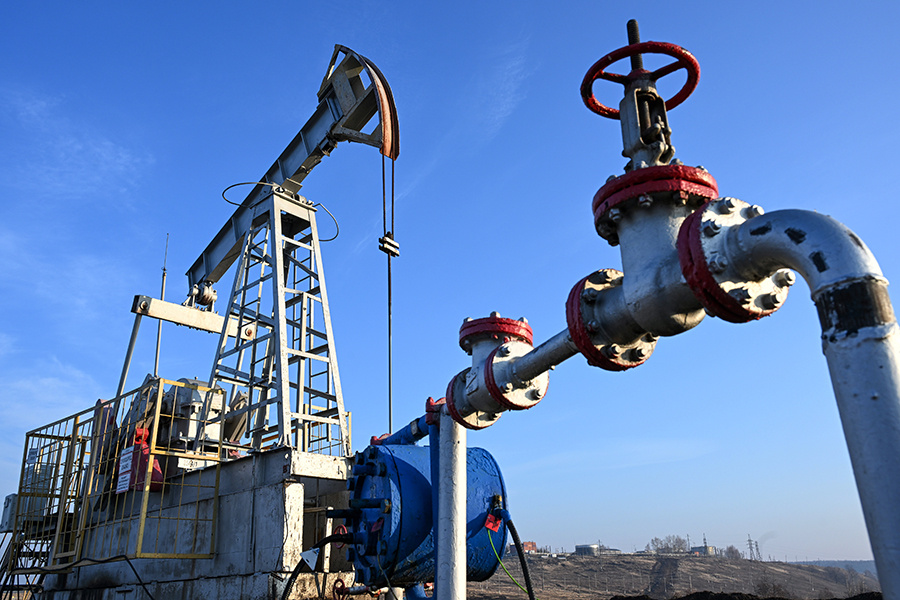    © Максим Богодвид/РИА Новости