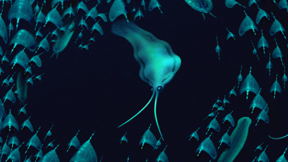     Фото: the University of Bristol, Bob Nicholls