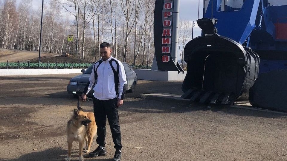 «Братишка, все, пошли, домой поедем»: вахтовик спас собаку в тундре и купил машину, чтобы отвезти ее домой