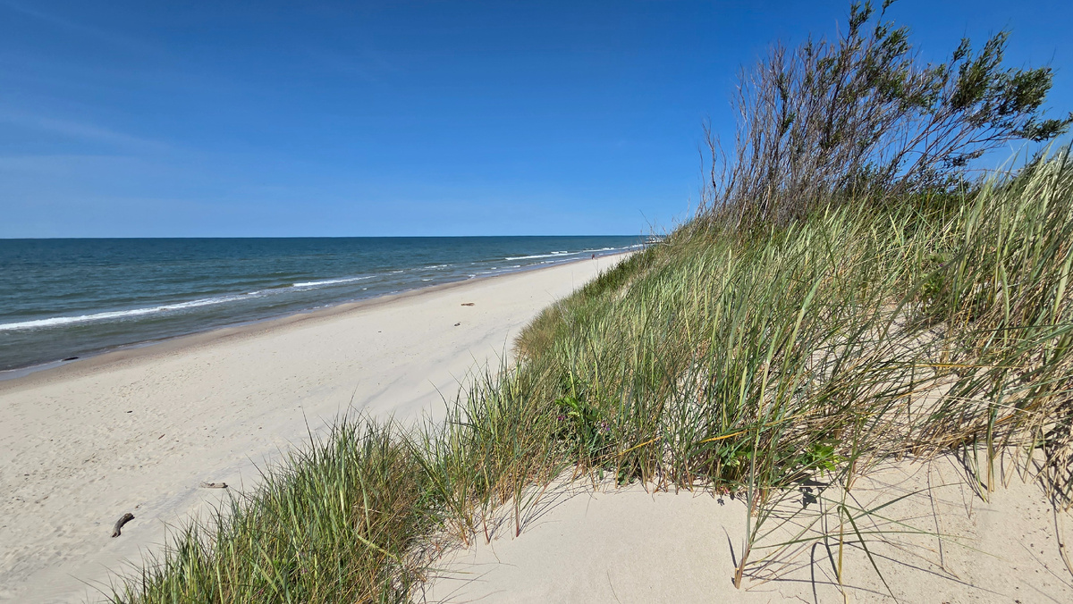 55.049550, 20.666880