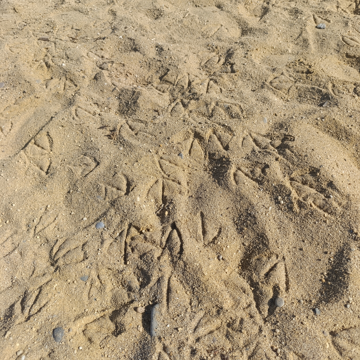 Мы тут были