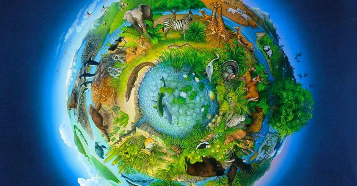 Биосфера. https://cs15.pikabu.ru/post_img/2025/01/12/7/og_og_1736679159210558025.jpg