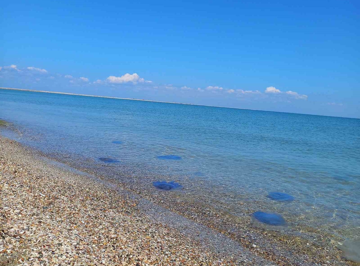 Фото моё. И море моё... и небо моё... и медузы мои...