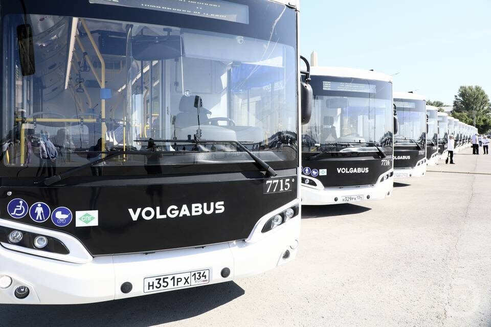    Фото: Дмитрий Рогулин / "Городские вести"