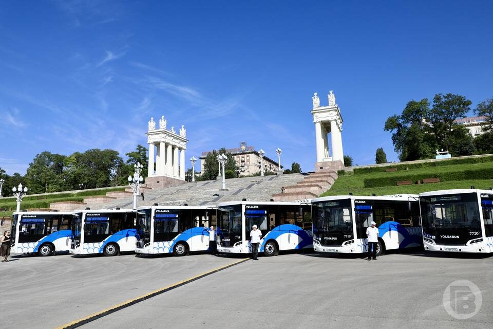   Фото: Дмитрий Рогулин / "Городские вести"