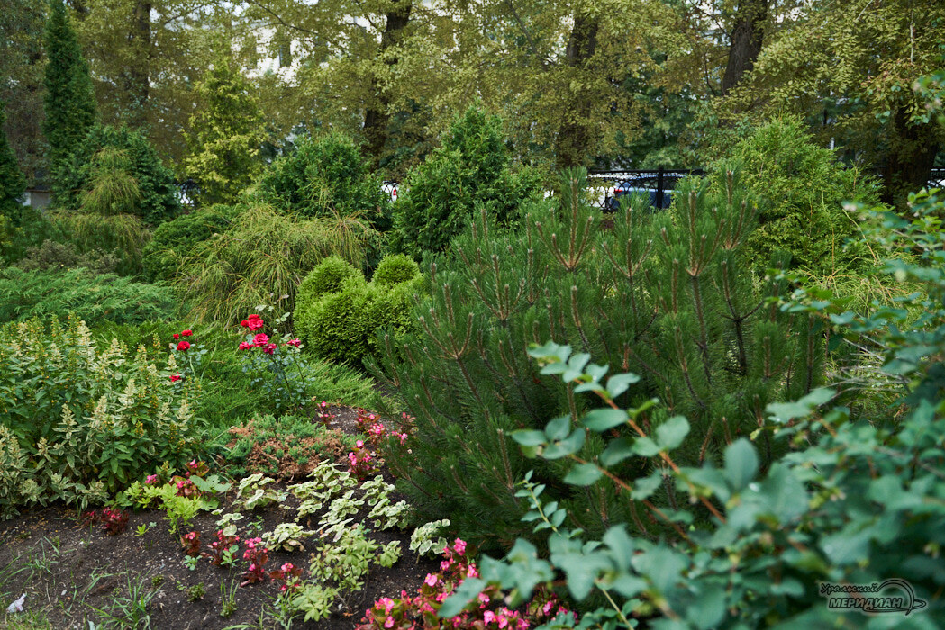    Фото Лидия Аникина © ИА «Уральский меридиан»