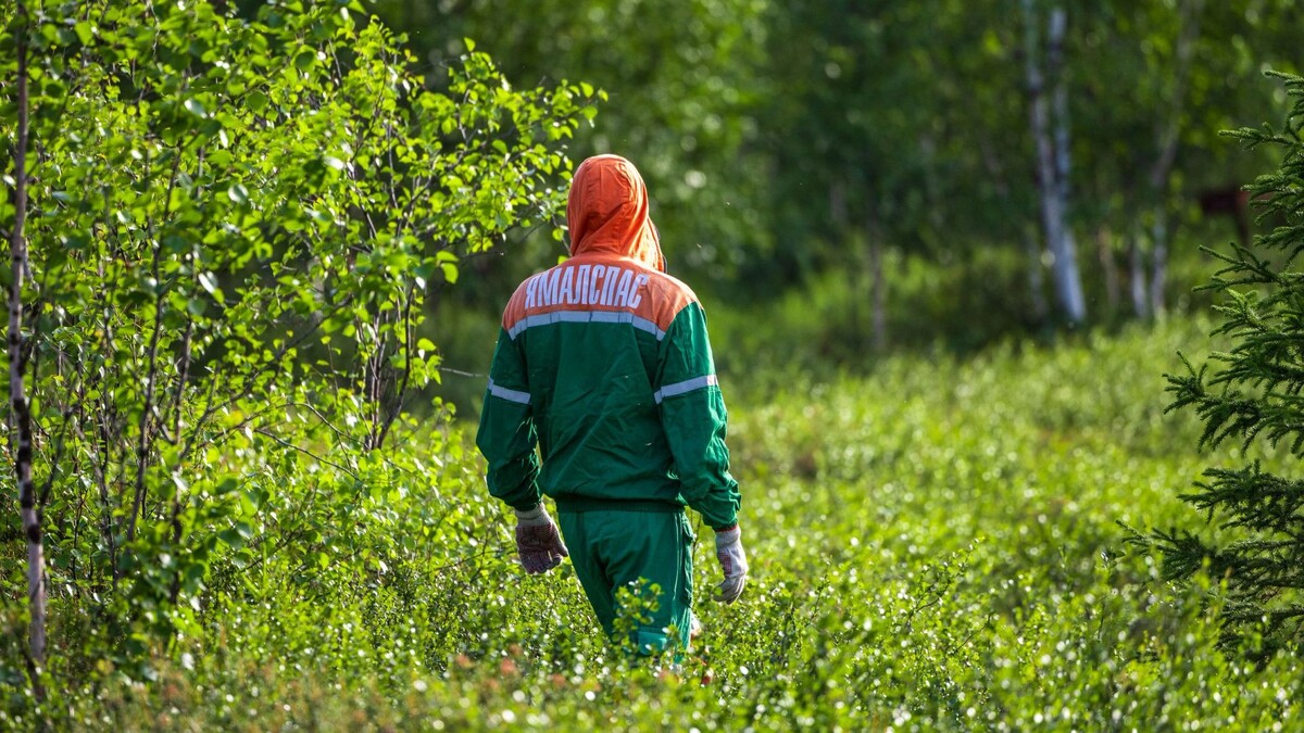    Фото: Федор Воронов / «Ямал-Медиа»