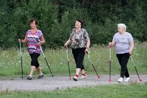 (источник:ya.ru)