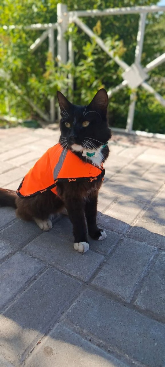 Фото: Газета «Курьер»