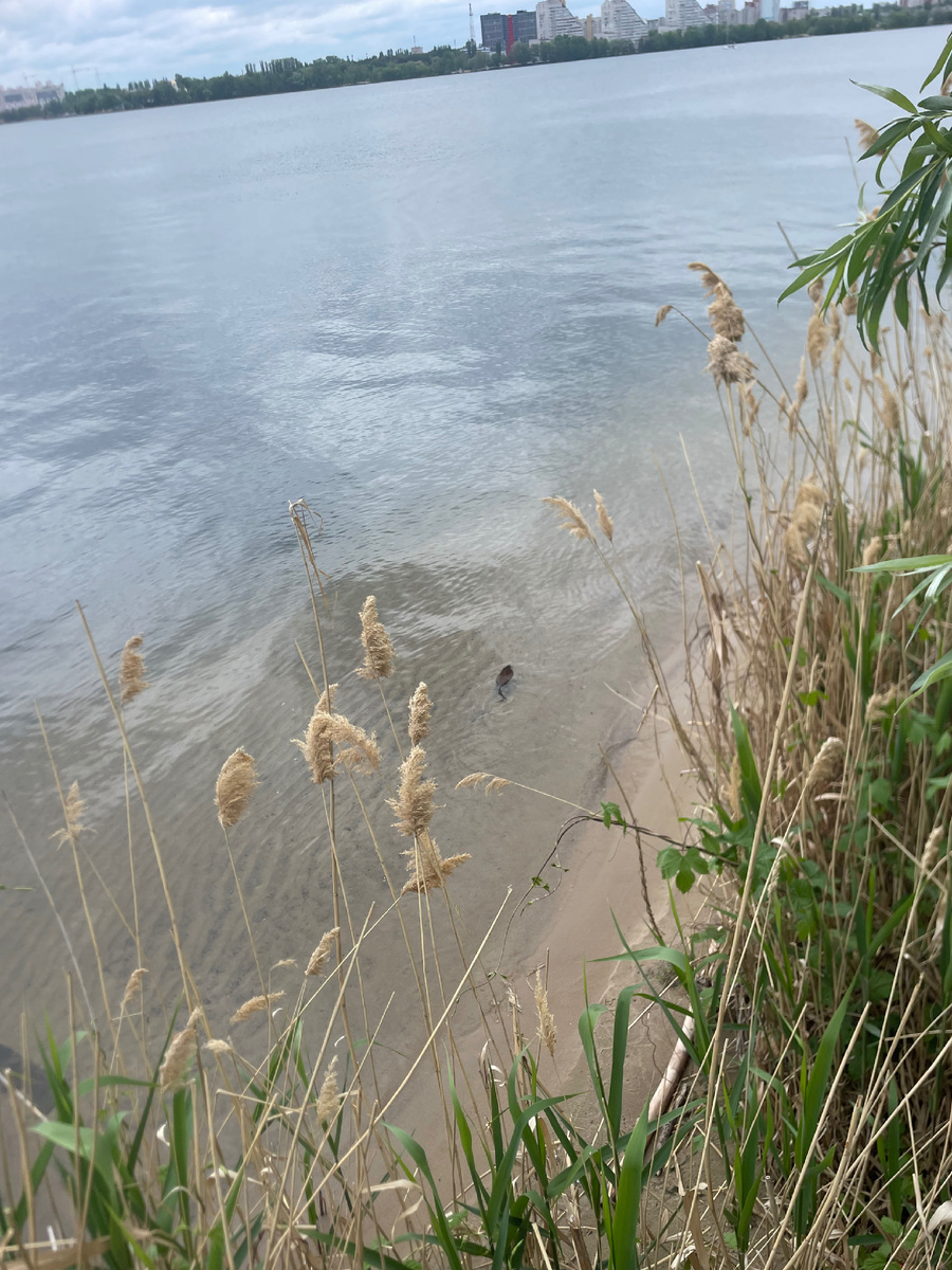 Если есть жизнь, будут и дорожки