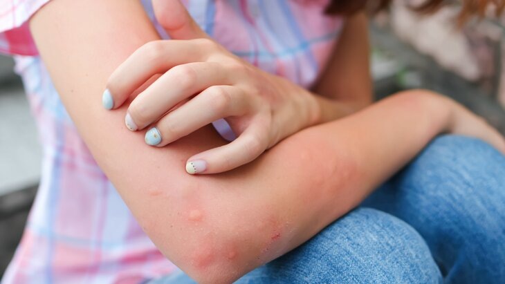 Фото: 123RF/ryanking999