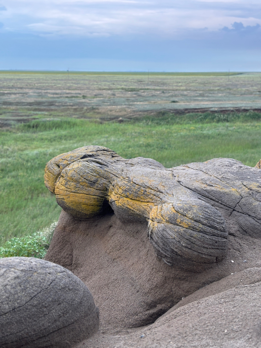 А далее мы увидели такое.
