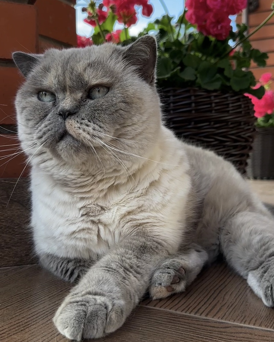 Рита на террасе 