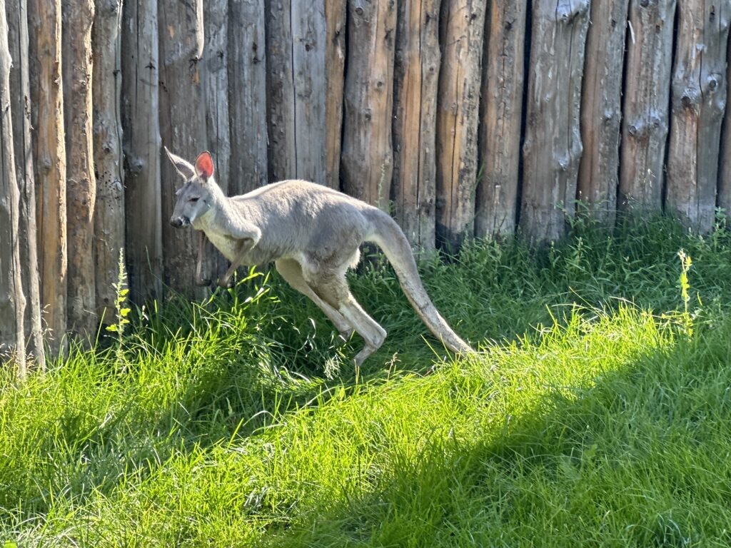    Фото: Катерина Заякина Катерина Заякина