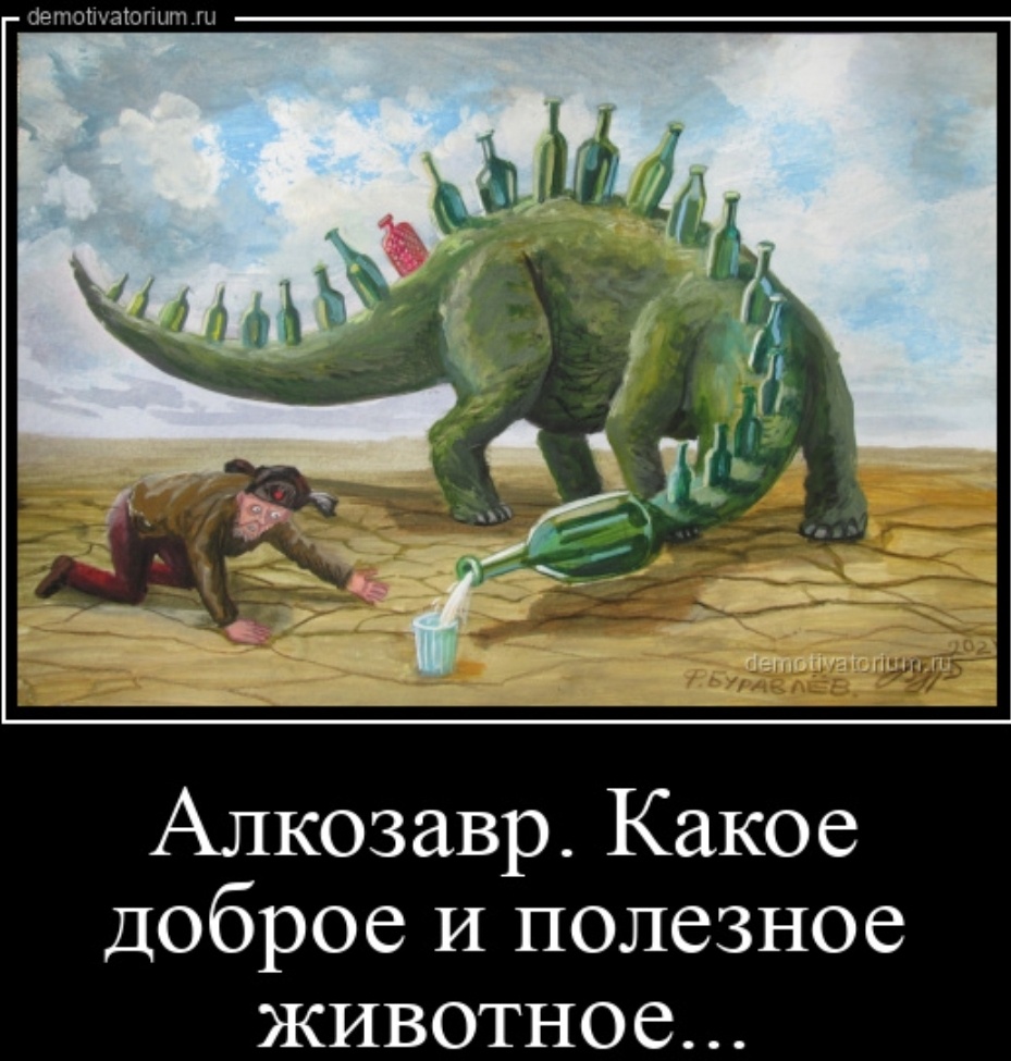 Фото из открытых источников. 