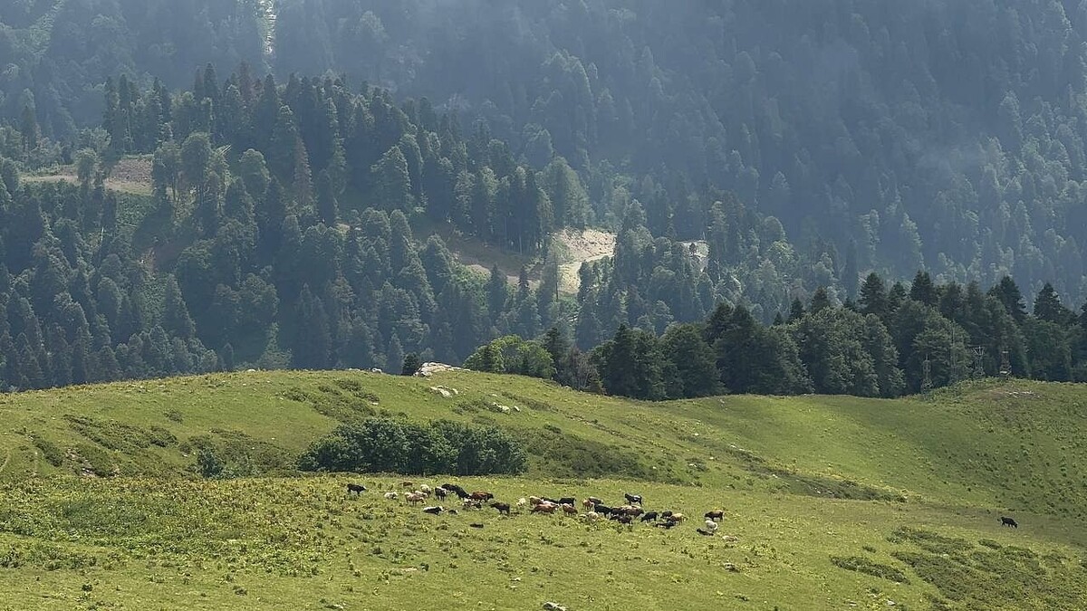    фото: Телеканал Краснодар