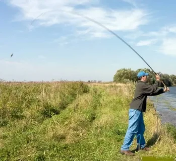 Фото с сайта: https://r5.mt.ru/r25/photo44F4/20205104415-0/jpg/bp.jpeg