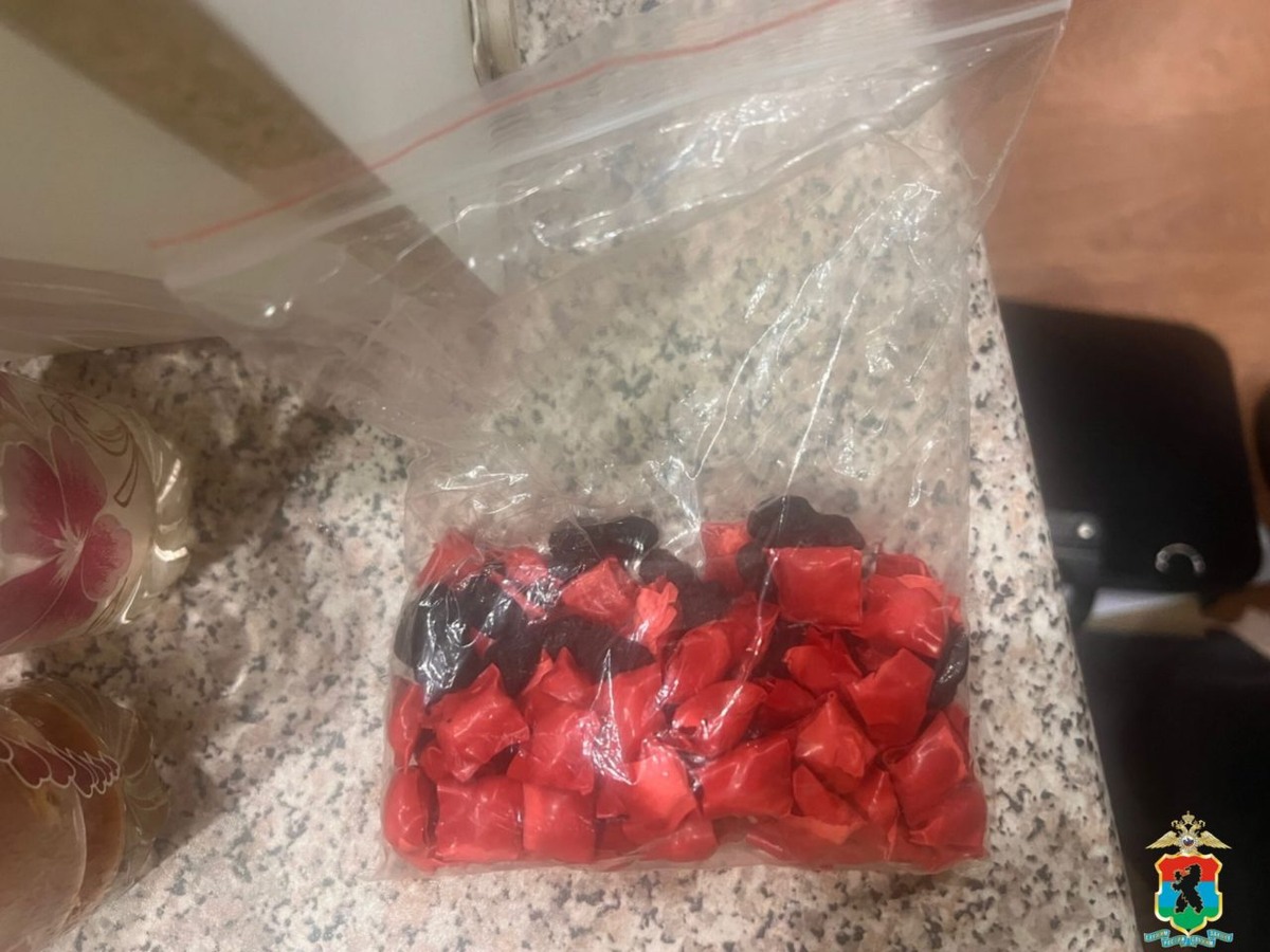    Фото: МВД по Республике Карелия / ВК