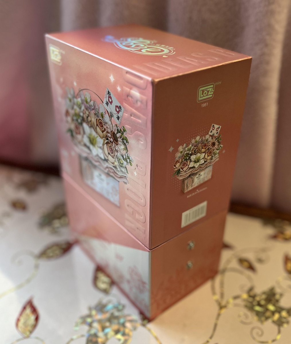 Фотограф: ВпечатлениУМ. Упаковка мини-контруктора LOZ