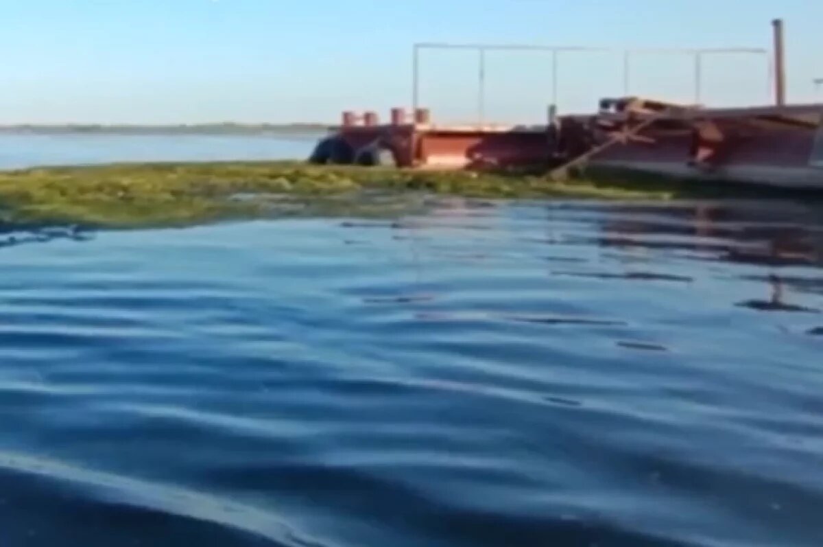    Ребенок чуть не утонул, а мать расстилала покрывало на берегу в Волгограде