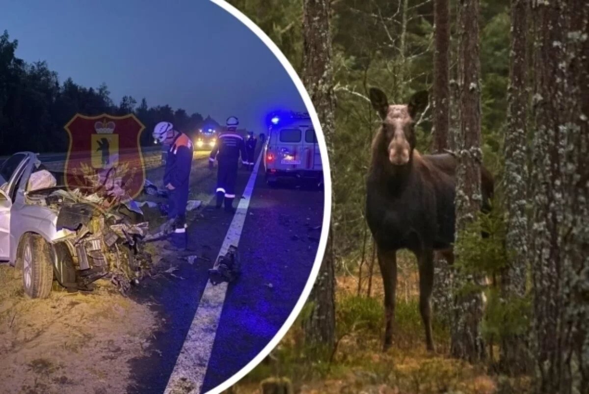    Смертельный силуэт.