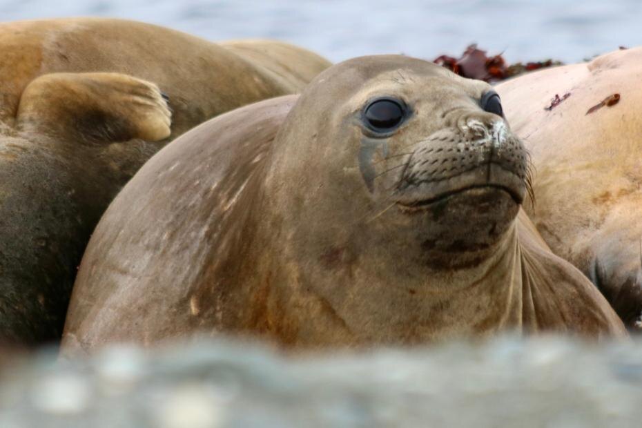    Shutterstock/FOTODOM