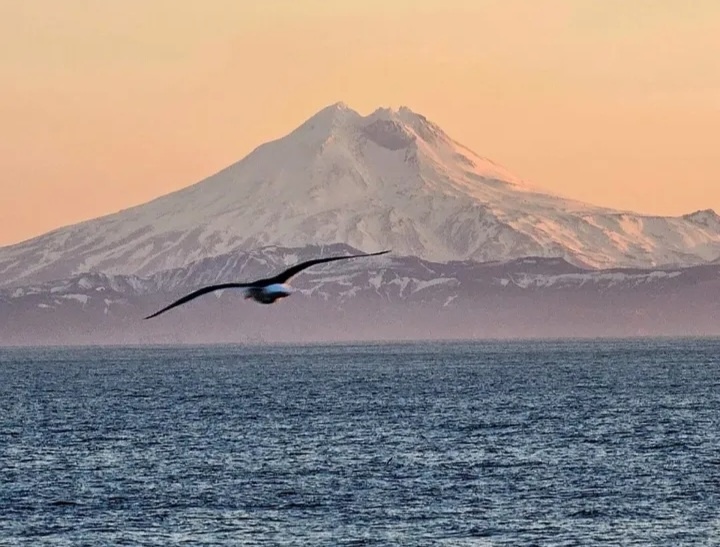 В Петропавловске-Камчатском - ДЕНЬ!
