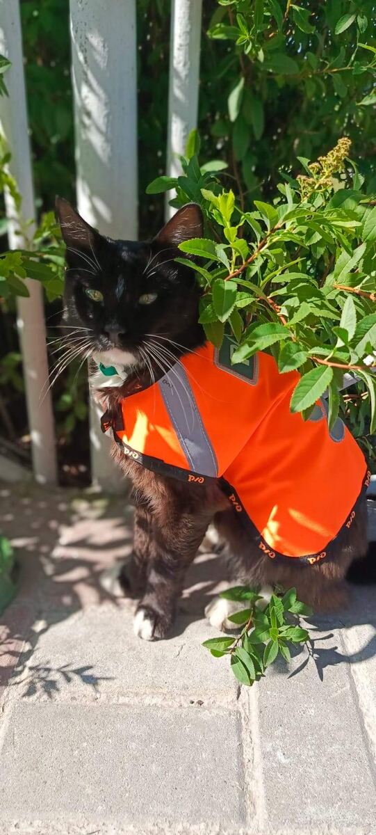    Фото: "Курьер"