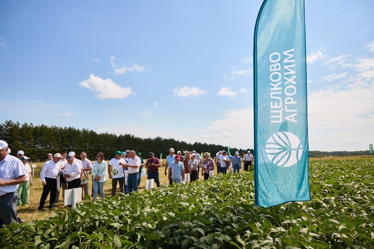     Республиканский День поля в Башкортостане
