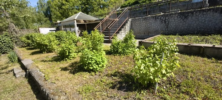    Фото: Лукьянов Дмитрий, AgroXXI.ru