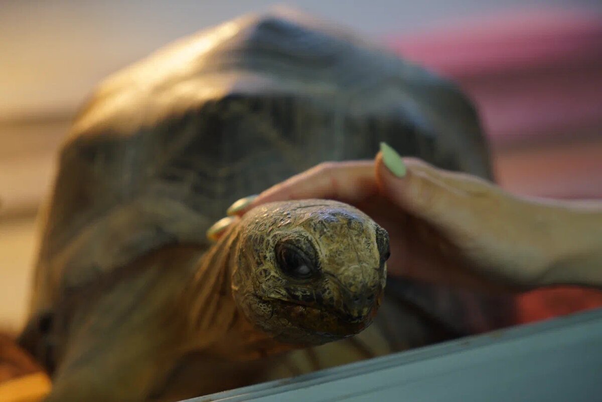 Часто к Вере выстраивается очередь – команде важно зарядиться энергией природы