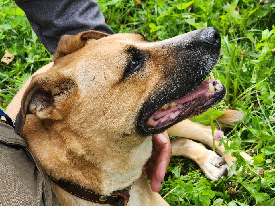    Фото: МедиаБанк Подмосковья/Валентина Максимова