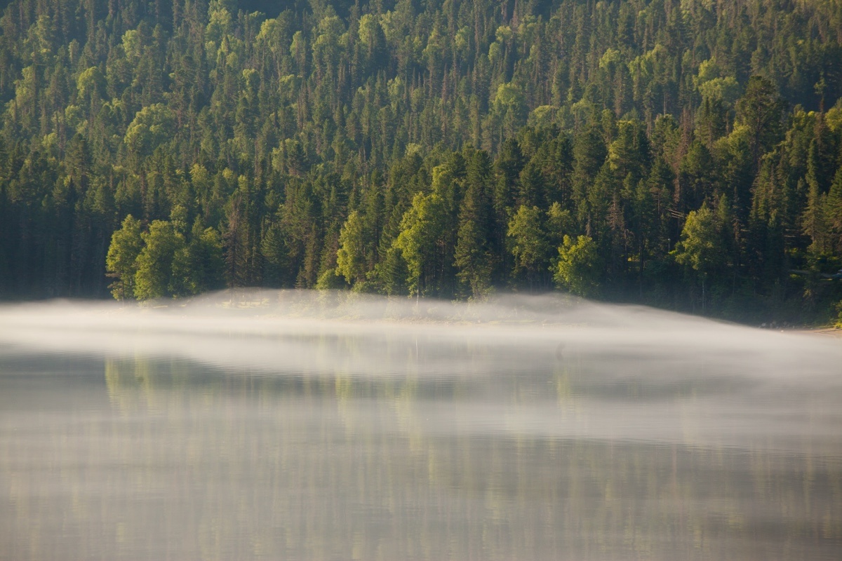 Faustova / Shuttersock / FOTODOM📷На Руси у августа было сразу несколько имен: «заревник», «зорничник», «серпень», «женч», «великомешняк», «густарь», «густоед»